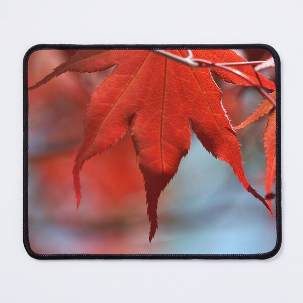 Item preview, leader in red designed and sold by blacqbook.