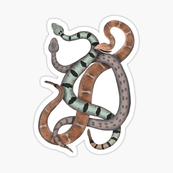 Item preview, Arizona Montane Rattlesnakes designed and sold by CatchItCreation.