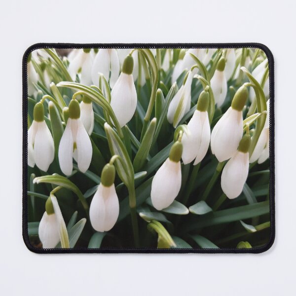 Item preview, Snowdrops designed and sold by MariaKuhi.