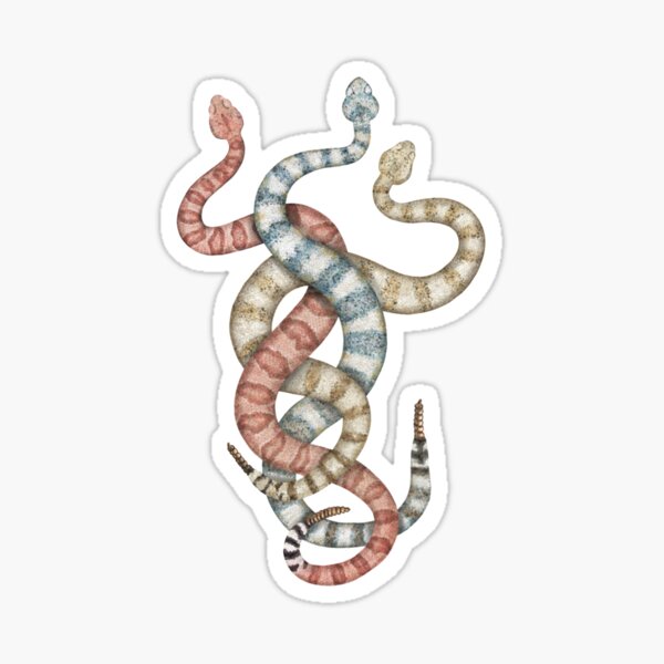 Speckled Rattlesnake Trifecta Sticker