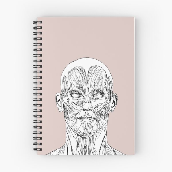 Item preview, Muscular Anatomy Study 2 designed and sold by dmsmartin.