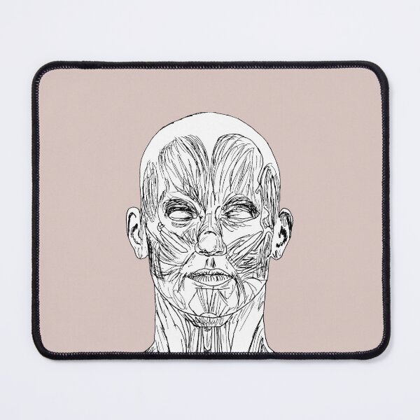 Item preview, Muscular Anatomy Study 2 designed and sold by dmsmartin.