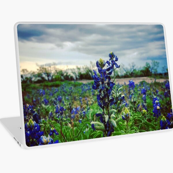 Bluebonnet Laptop Skin
