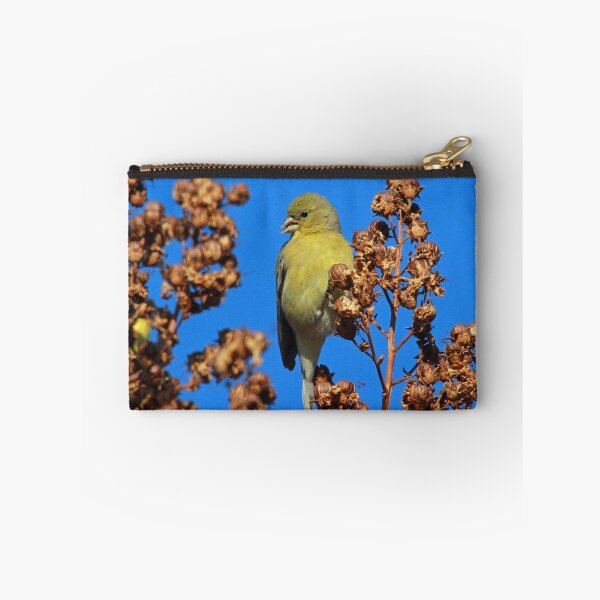 Item preview, A Female Lesser Goldfinch designed and sold by Anthony Goldman.