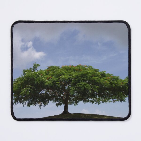 Item preview, shade designed and sold by blacqbook.