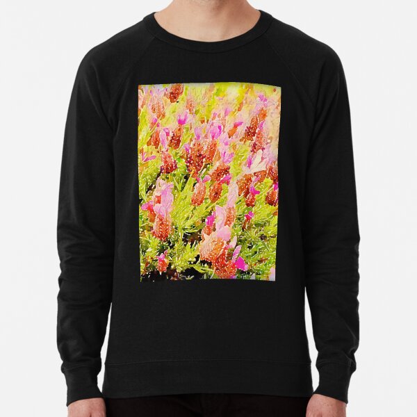 Lightweight Sweatshirt