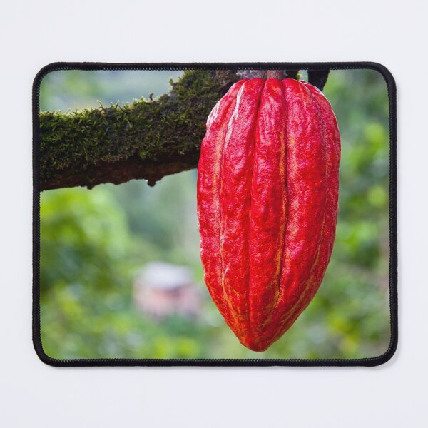 Item preview, cocoa pod red designed and sold by blacqbook.