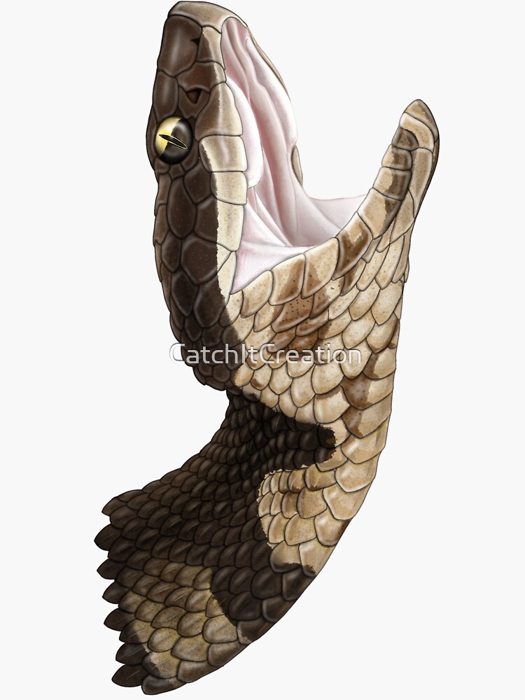"Cottonmouth Face" Sticker for Sale by CatchItCreation Redbubble