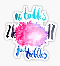 No Troubles 2017 Sticker