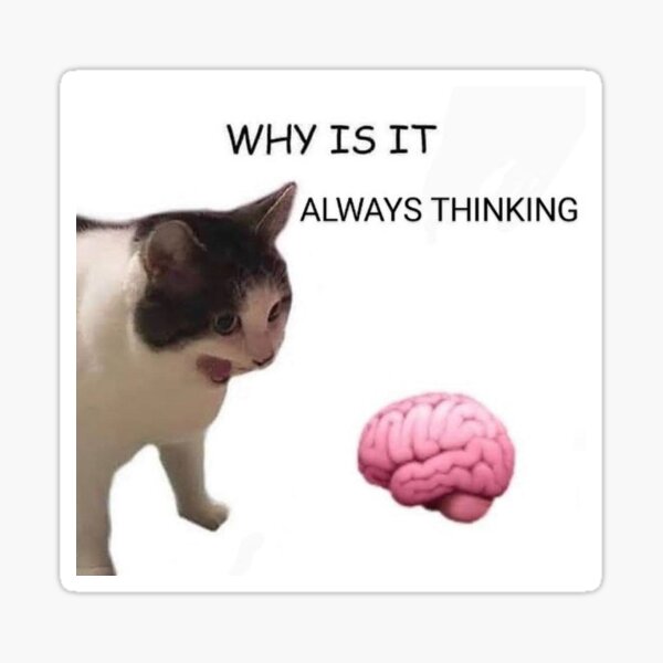 why-is-it-always-thinking-sticker-for-sale-by-t9060-redbubble