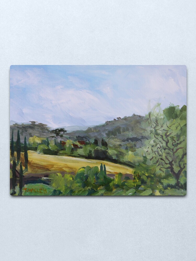 Alternate view of Valley in Galluzzo southern part of Florence Italy Metal Print