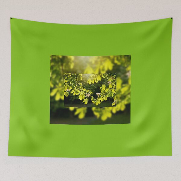 Item preview, Flowering Aesculus horse chestnut designed and sold by Arletta Cwalina.