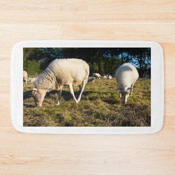Item preview, Meeting the morning sheep designed and sold by jchanders.