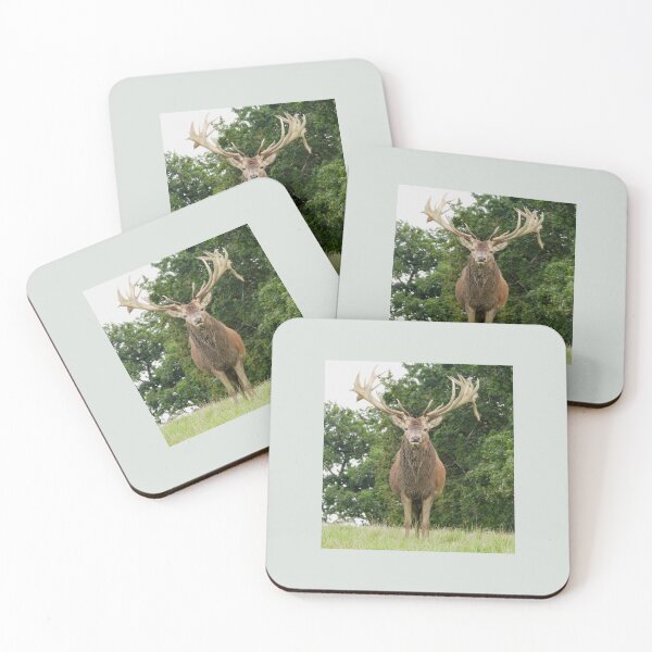 Item preview, A Fabulous Handsome Red Stag designed and sold by Karen Thomson.