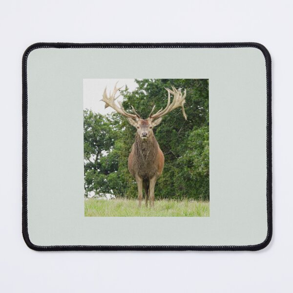 Item preview, A Fabulous Handsome Red Stag designed and sold by Karen Thomson.