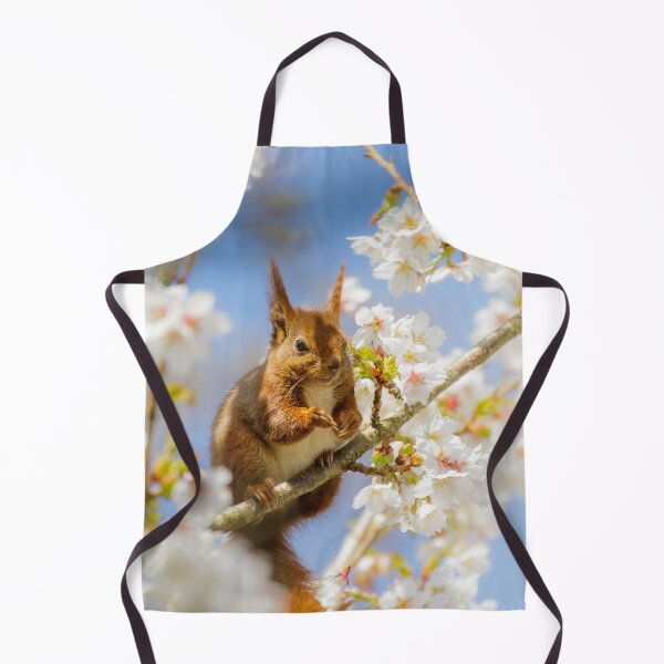 Item preview, Red Squirrel amongst the Blossom designed and sold by Alec Stewart.