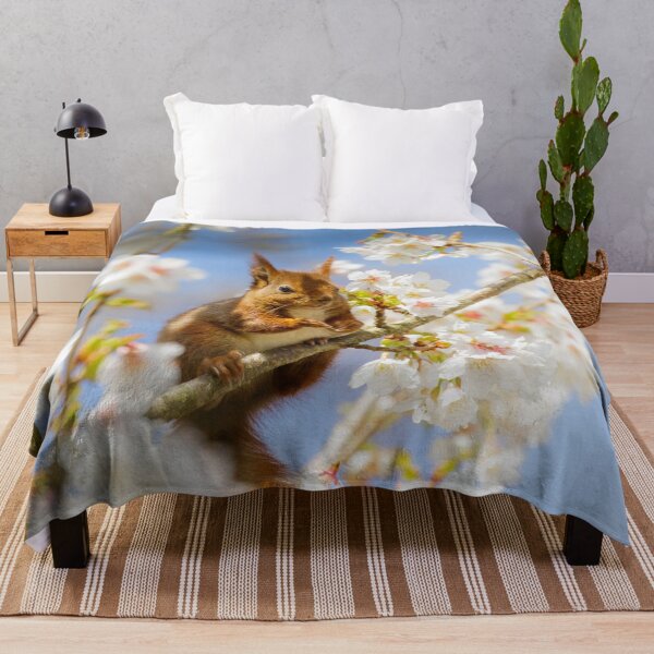 Item preview, Red Squirrel amongst the Blossom designed and sold by Alec Stewart.
