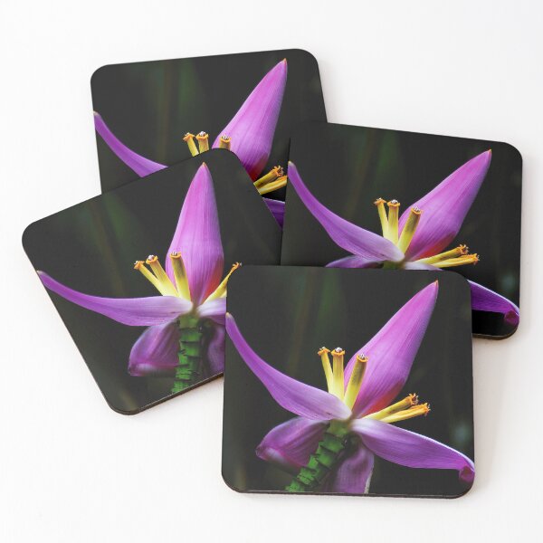 Item preview, Tropical Flower designed and sold by Brian Kerls Photography.