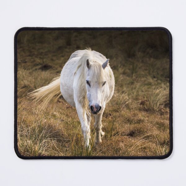 Item preview, White Horse designed and sold by heidipics.