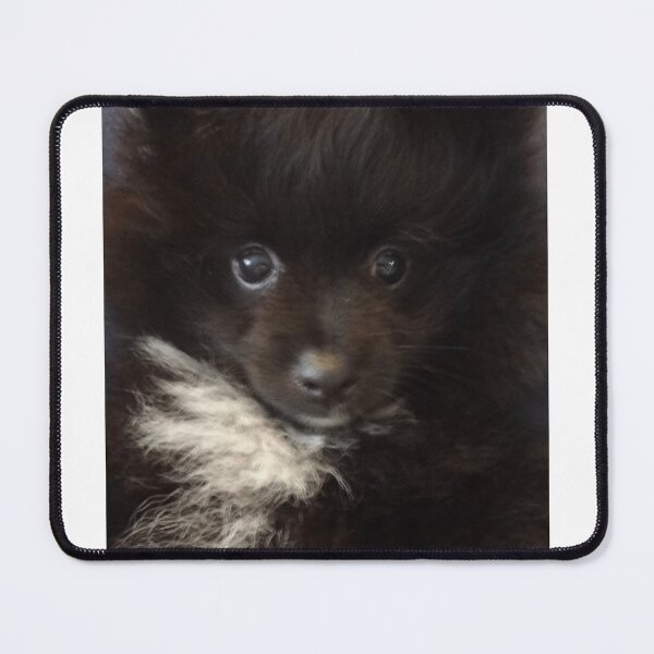 Item preview, Pom Pom designed and sold by jennyleeandjim.