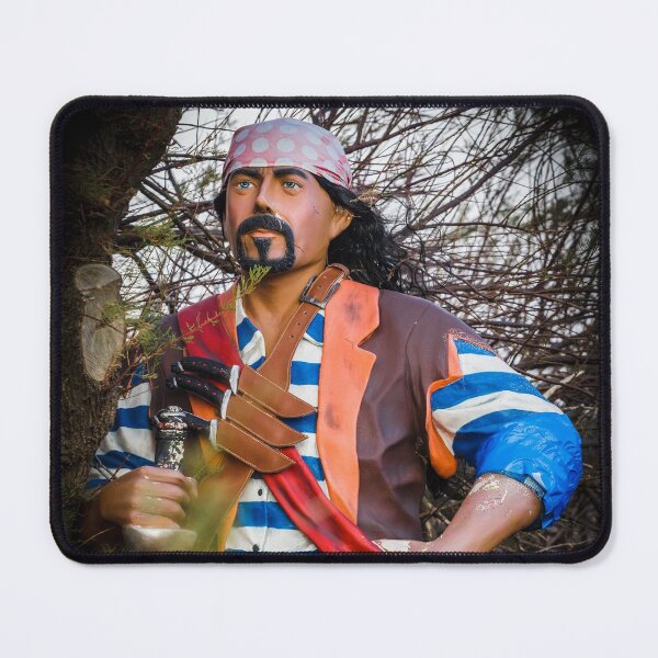 Item preview, Pirate Look Out designed and sold by heidipics.