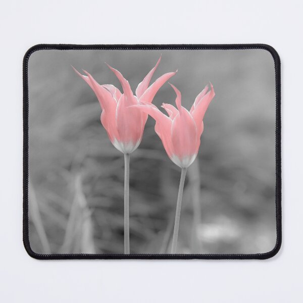 Item preview, Tulip Special designed and sold by heidipics.