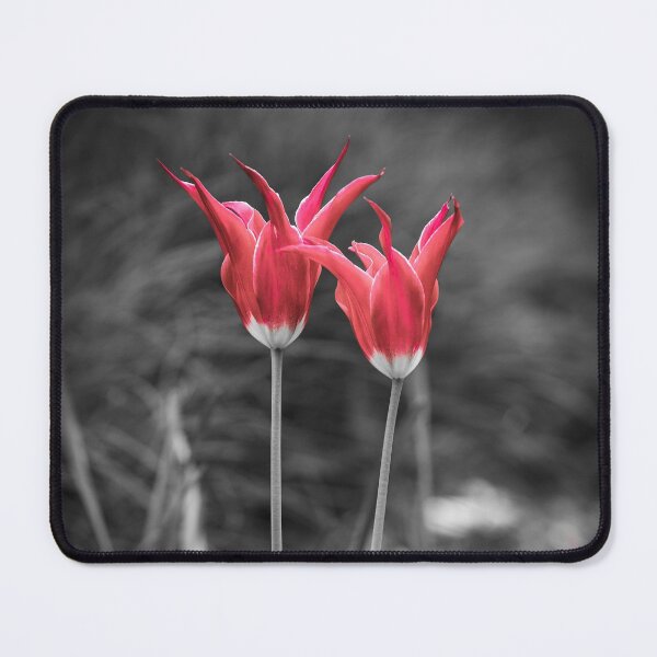 Item preview, Tulip Passion designed and sold by heidipics.