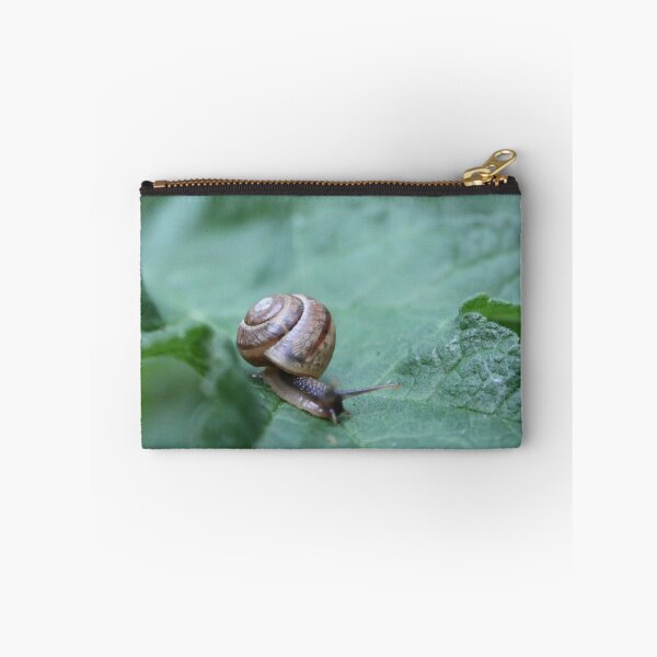 Item preview, takes, time  designed and sold by Jmagphotography.