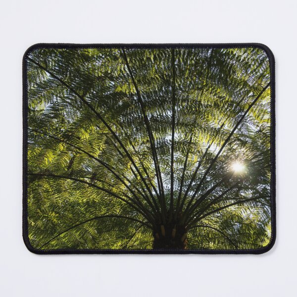 Item preview, Tree Fern Sunburst designed and sold by Georgia Mizuleva.
