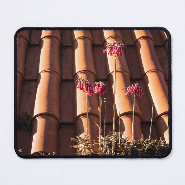 Item preview, Unexpected Roof Garden designed and sold by Georgia Mizuleva.