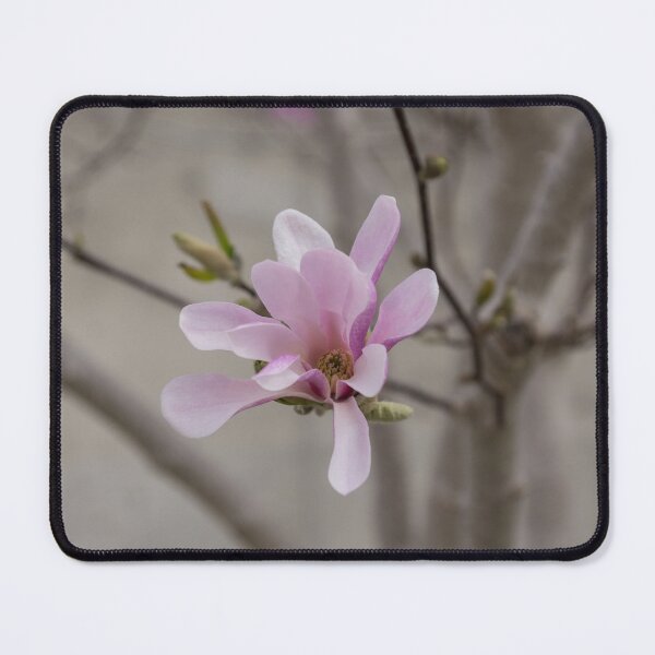 Item preview, Magnolia - Elegant Single Blossom designed and sold by Georgia Mizuleva.