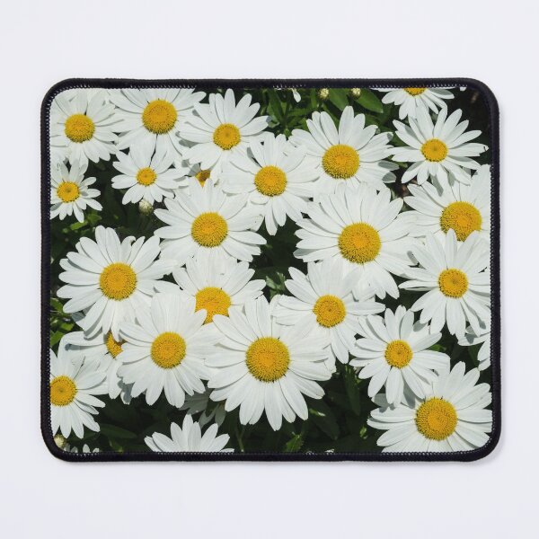Item preview, Dainty Daisies designed and sold by Georgia Mizuleva.