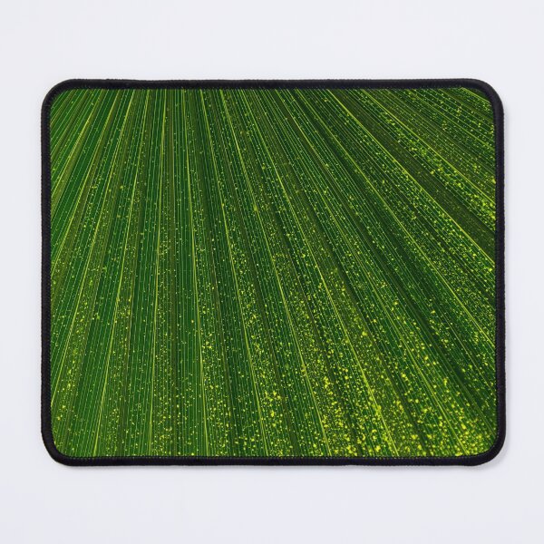 Item preview, Green Fan - Radiating Lines and Scattered Polka-dots  designed and sold by Georgia Mizuleva.