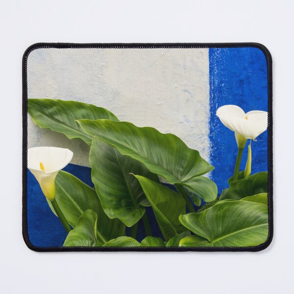 Item preview, Blue Garden Contrasts - Calla Lilies Against the Wall Right designed and sold by Georgia Mizuleva.