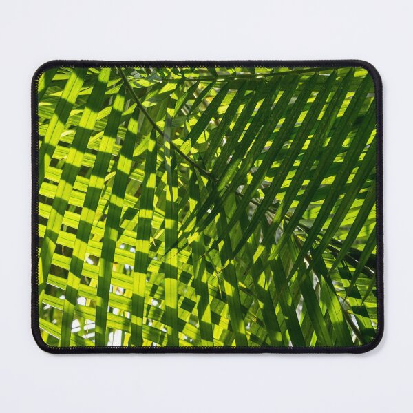 Artikelvorschau, Luscious Geometric Greenery - Sonne und Schatten Palm Wedel nach rechts entworfen und verkauft von Georgia Mizuleva.