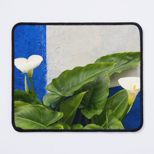 Item preview, Blue Garden Contrasts - Calla Lilies Against the Wall Left designed and sold by Georgia Mizuleva.