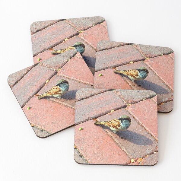 Item preview, Bird on Brick Photograph designed and sold by shadowspeeder.