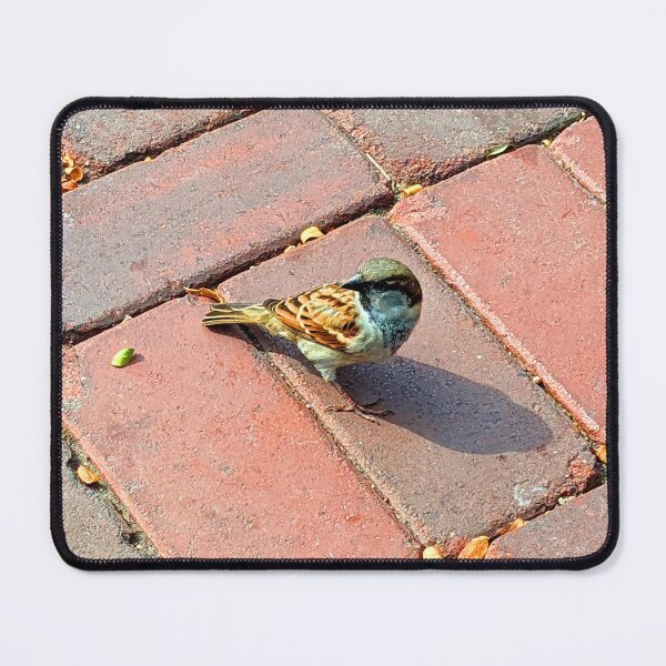 Item preview, Bird on Brick Photograph designed and sold by shadowspeeder.