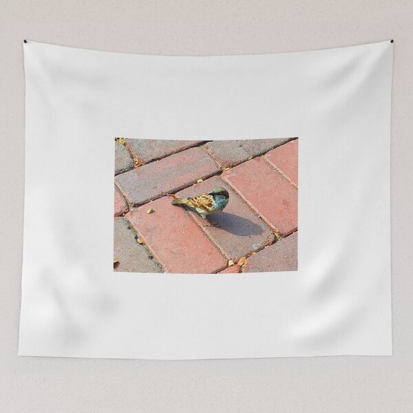 Item preview, Bird on Brick Photograph designed and sold by shadowspeeder.
