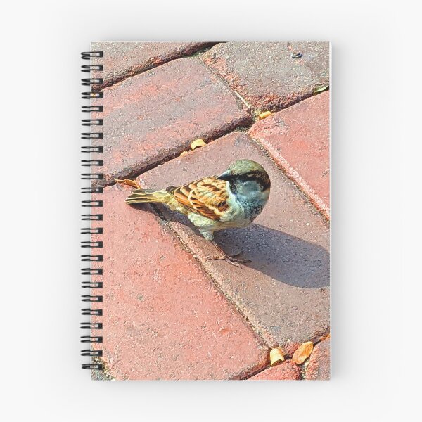 Item preview, Bird on Brick Photograph designed and sold by shadowspeeder.