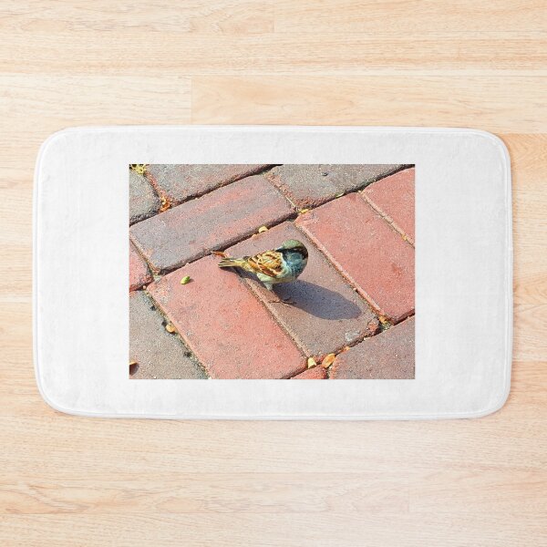 Artikelvorschau, Vogel auf Ziegelstein Fotografie entworfen und verkauft von shadowspeeder.