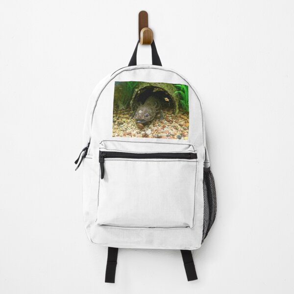 Item preview, Axoltl Photograph in Aquarium designed and sold by shadowspeeder.