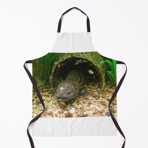 Item preview, Axoltl Photograph in Aquarium designed and sold by shadowspeeder.