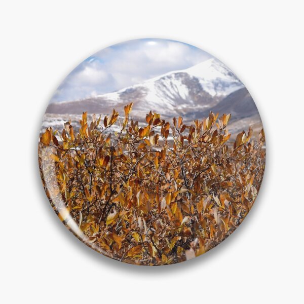 Item preview, Fall Foliage in Mt. Evans Wilderness, CO designed and sold by rachphotography.