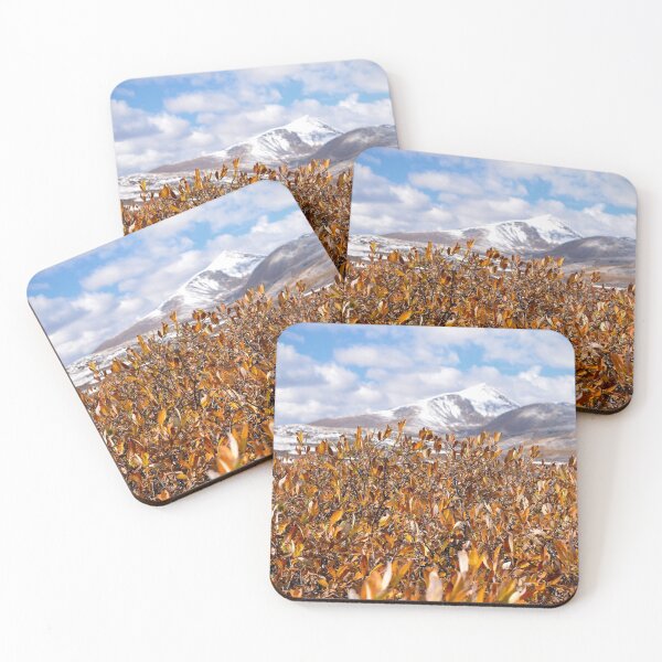 Item preview, Fall Foliage in Mt. Evans Wilderness, CO designed and sold by rachphotography.