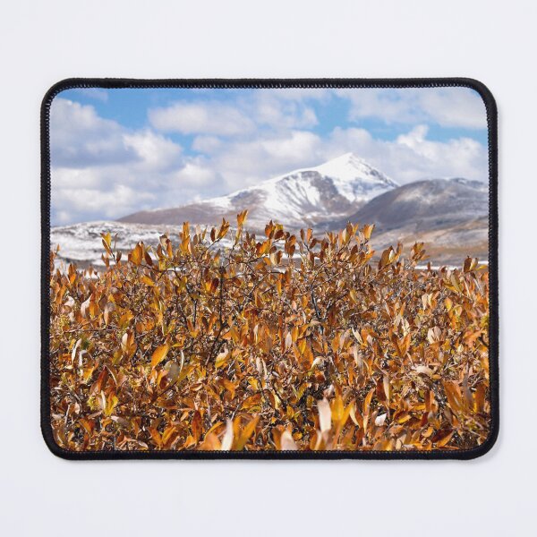 Item preview, Fall Foliage in Mt. Evans Wilderness, CO designed and sold by rachphotography.