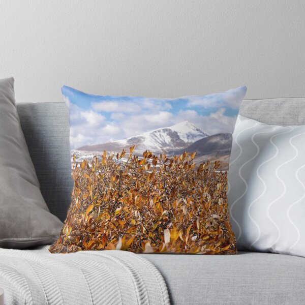 Item preview, Fall Foliage in Mt. Evans Wilderness, CO designed and sold by rachphotography.