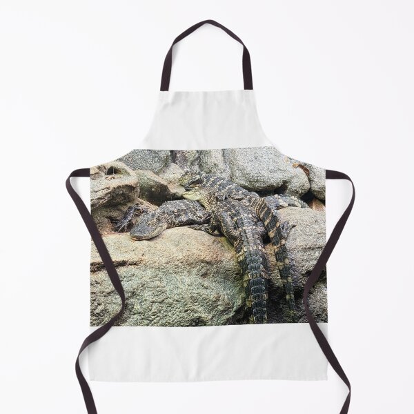 Item preview, Various Crocodiles on Rocks Photograph designed and sold by shadowspeeder.