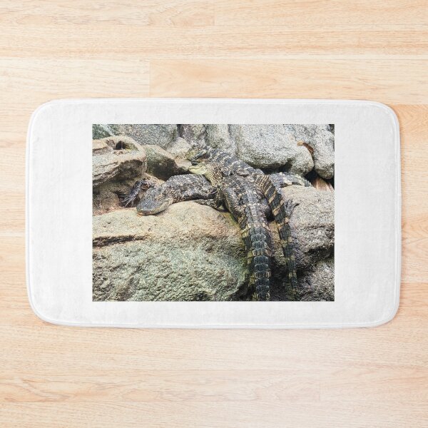 Item preview, Various Crocodiles on Rocks Photograph designed and sold by shadowspeeder.