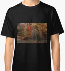 Evocative Autumn Classic T-Shirt